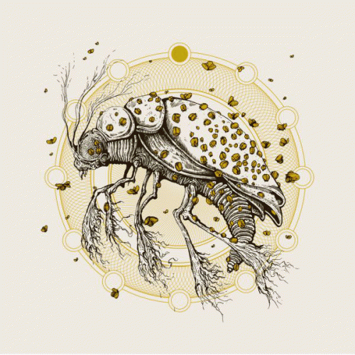 Thou : Kowloon Walled City - Thou